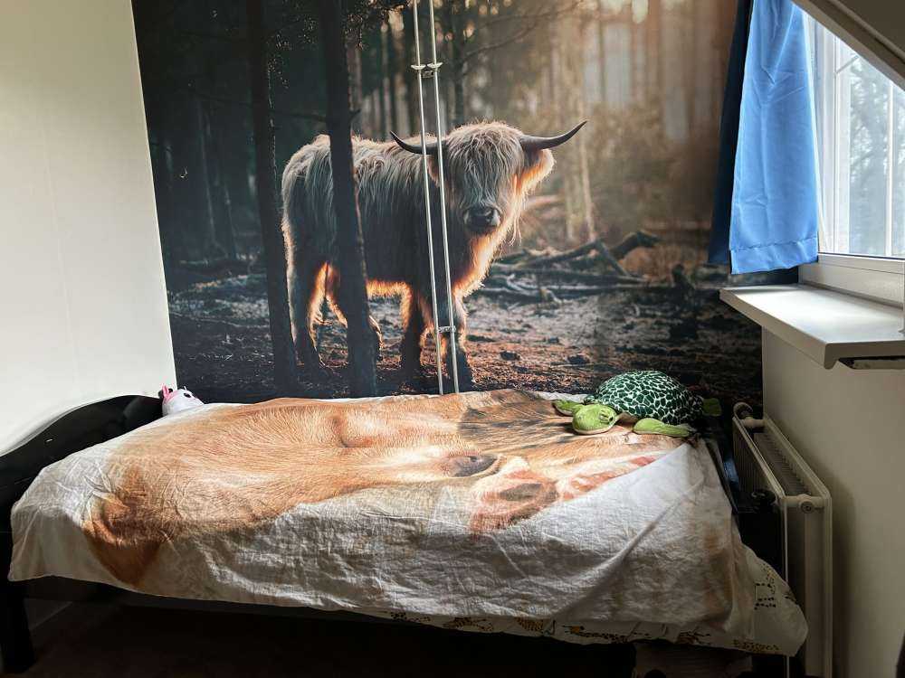 Biały szkocki wyżyn