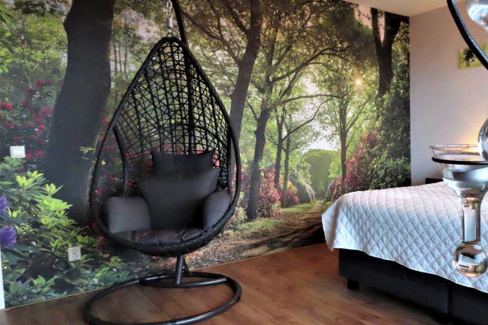 Wschód słońca na ścieżce z rododendronami