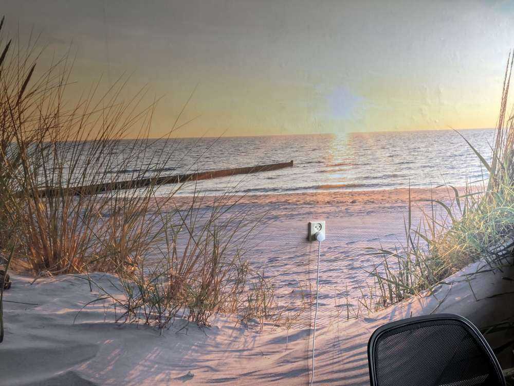 Plaża wydmowa przy zachodzie słońca