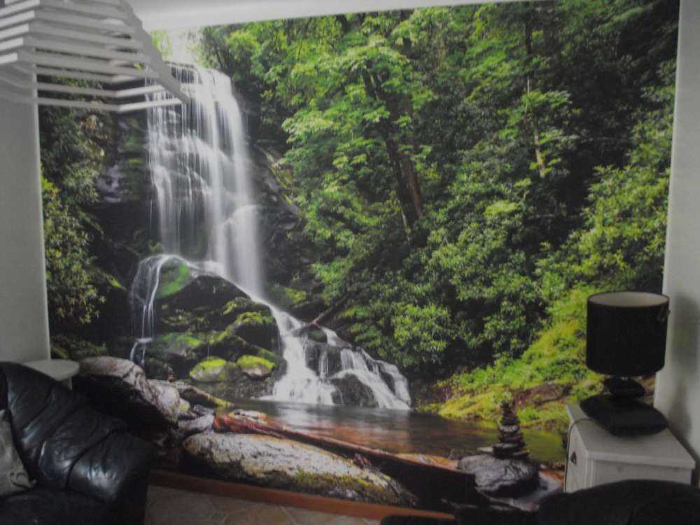 Jungle waterval