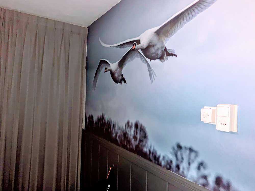 Latające łabędzie