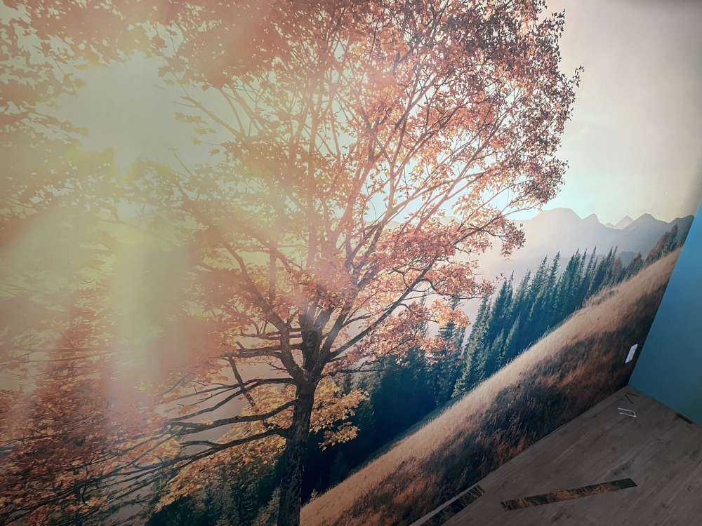 Zachód słońca w dolinie