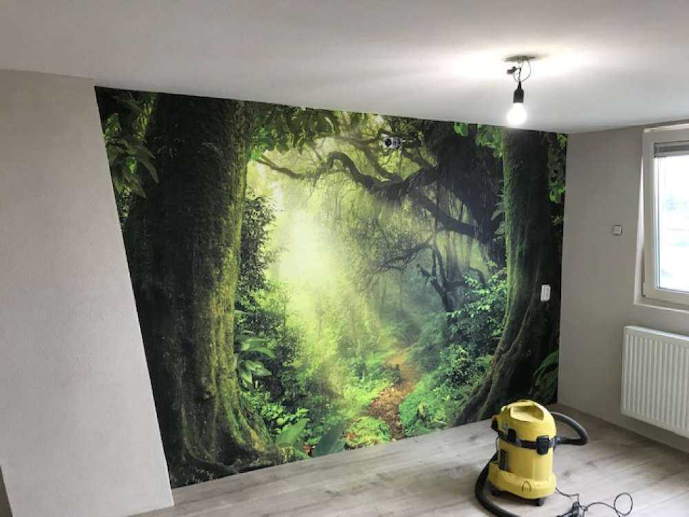 Dżungla z promieniami słońca