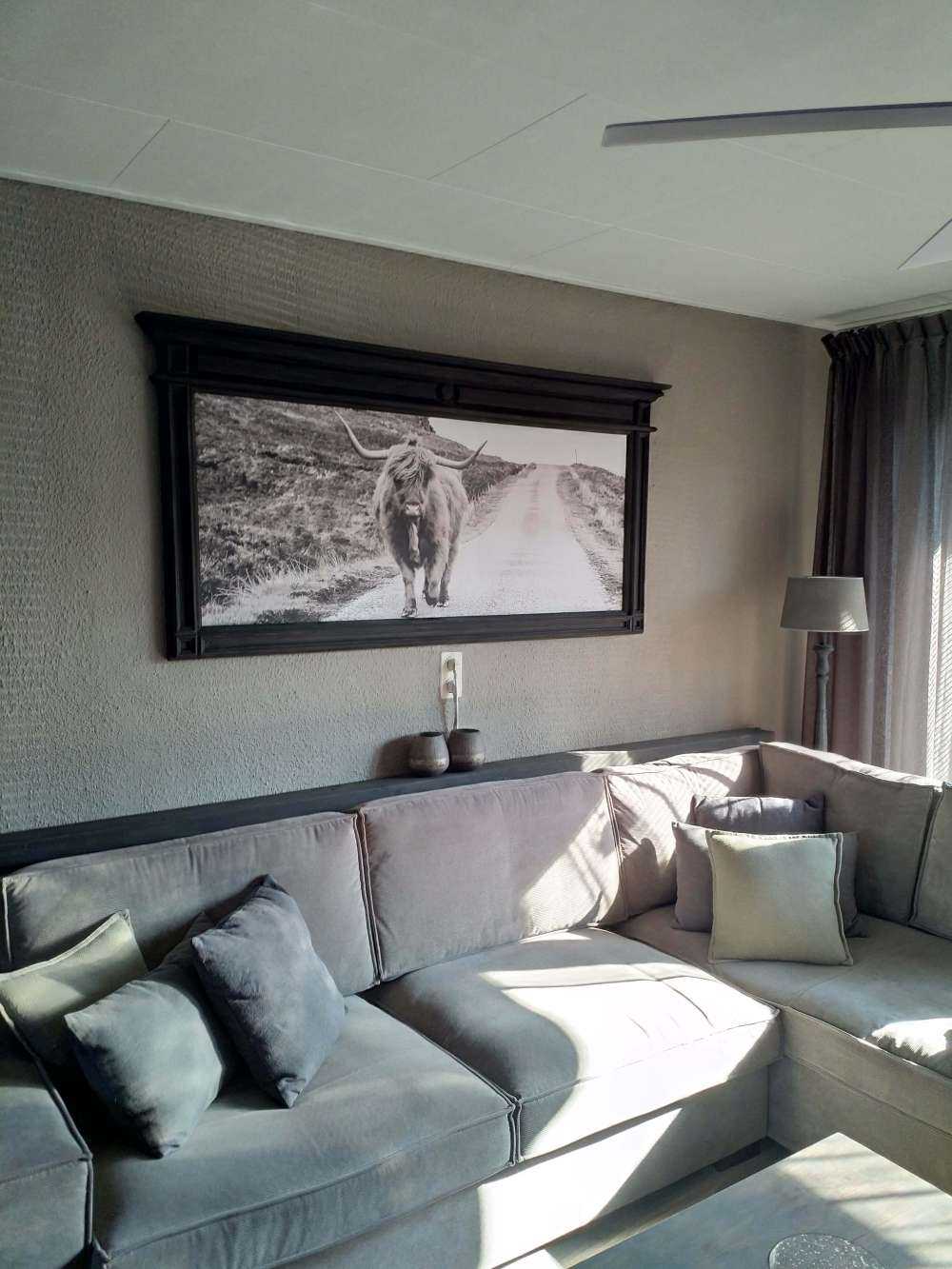 Szkocka rasa wyżynna na drodze