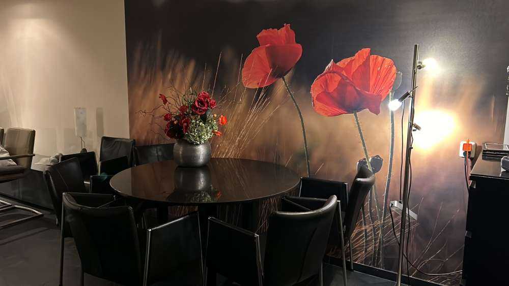 Maki na polu pszenicy