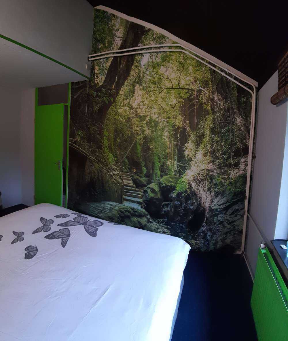 Ścieżka przez dżunglę