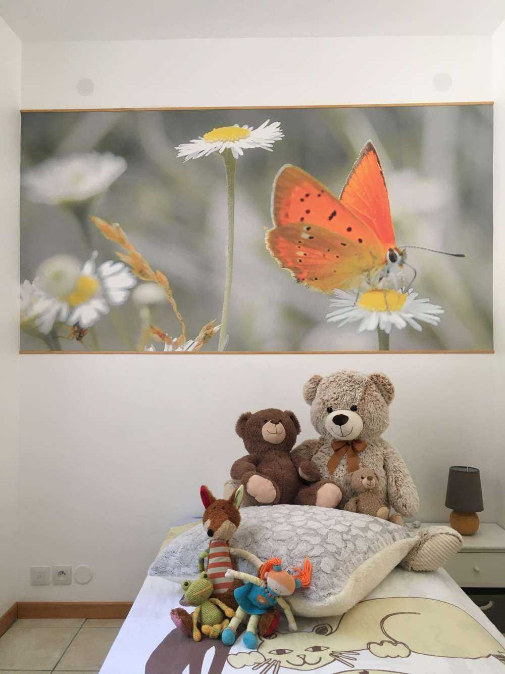 Stokrotki i pomarańczowy motyl