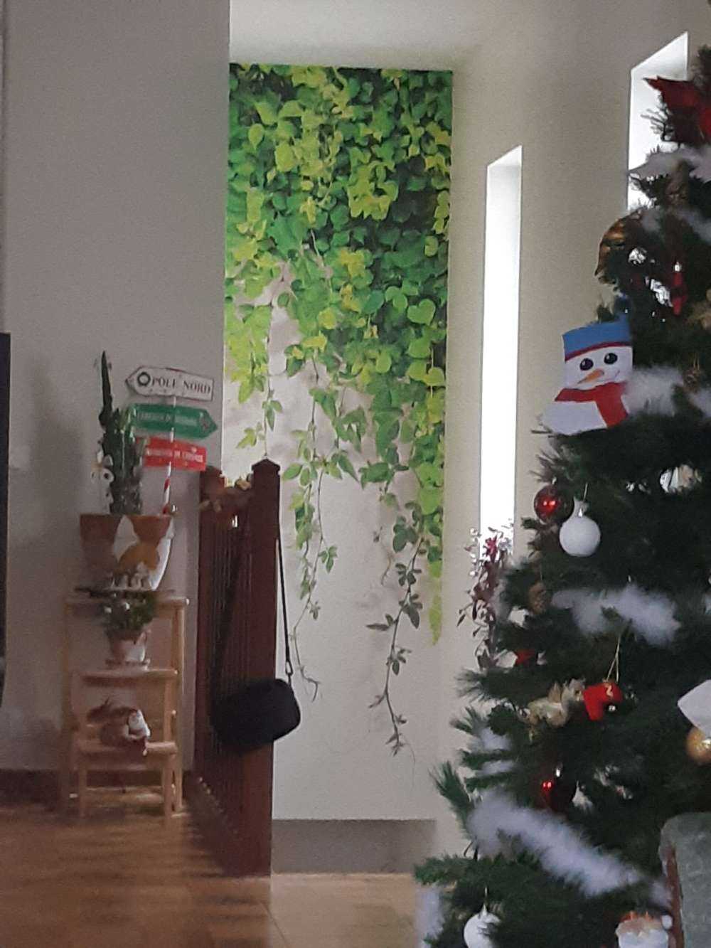 Zielone zwisające gałęzie