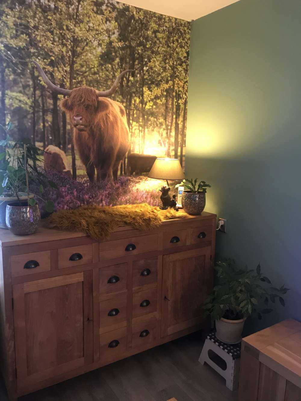 Wyżynny w rezerwacie przyrody