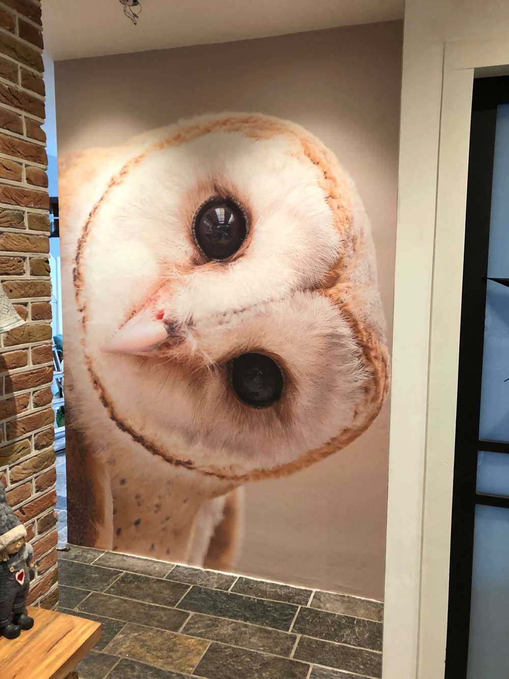 Sowa z przechyloną głową