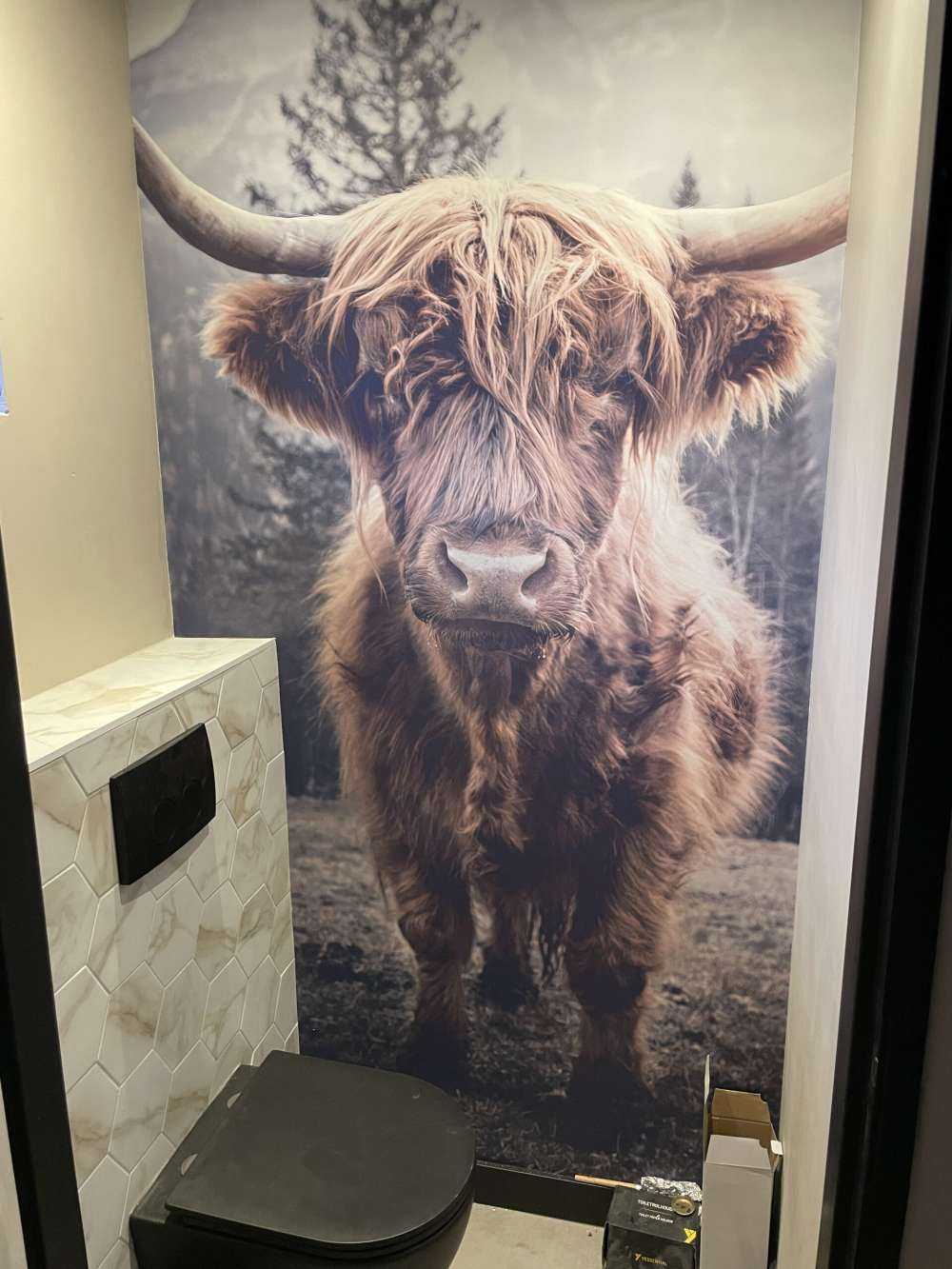 Szkocka rasa wyżynna przy lesie