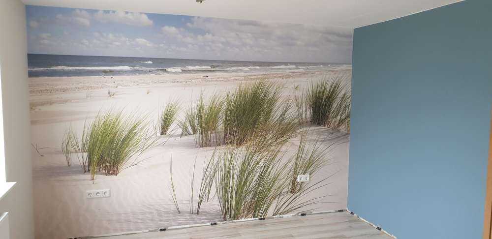 Plaża z roślinami wydmowymi