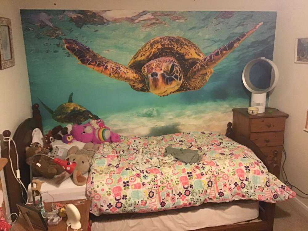 Żółw morski w oceanie