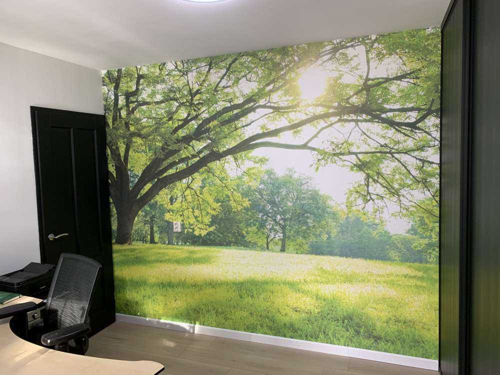 Piękne drzewo z zieloną trawą