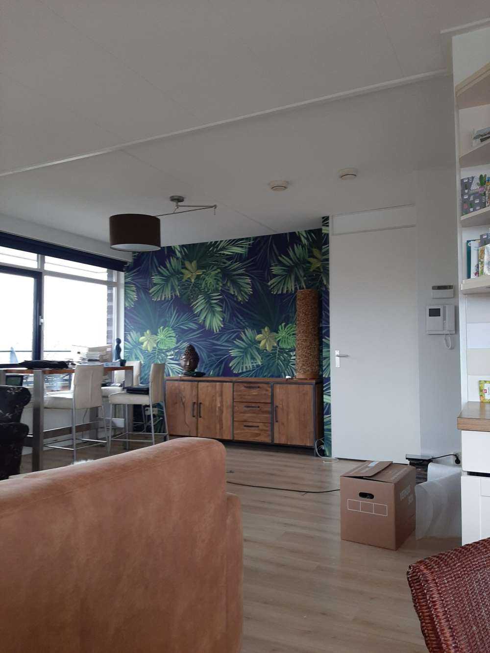 Piękne zielone liście