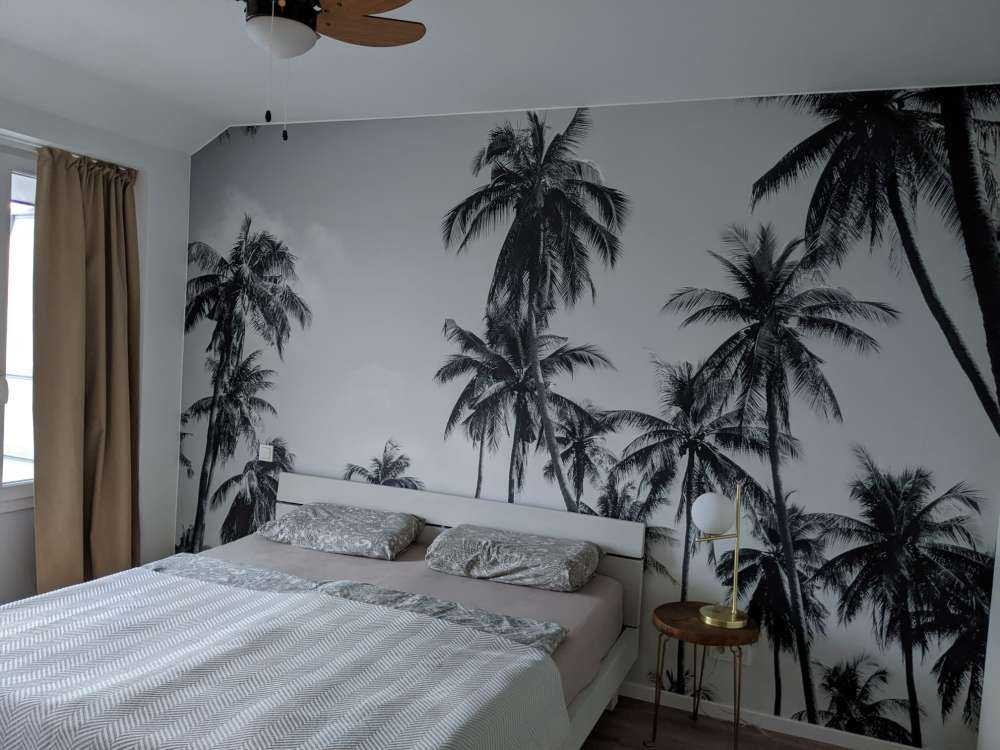 Palmy w czerni i bieli