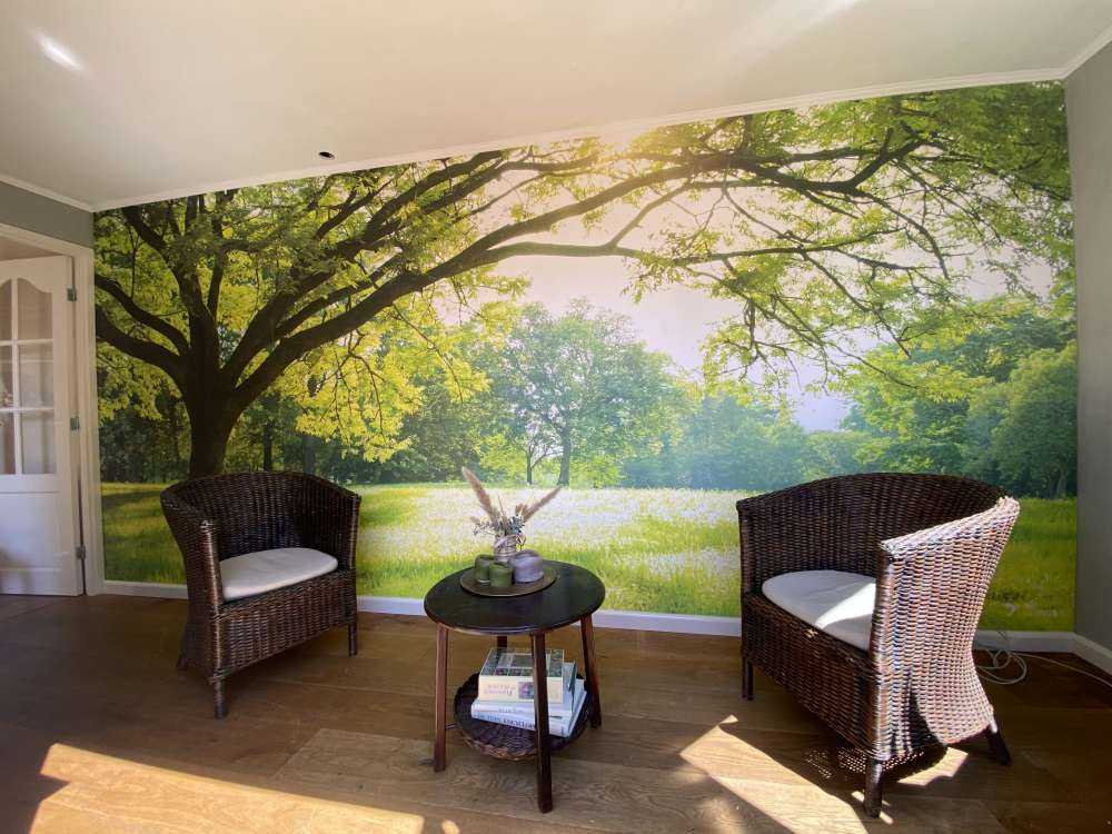 Piękne drzewo z zieloną trawą