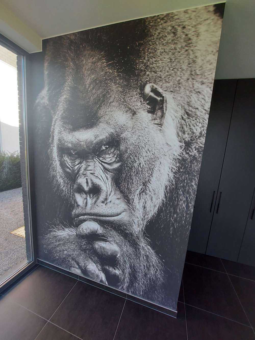 Zbliżone zdjęcie goryla