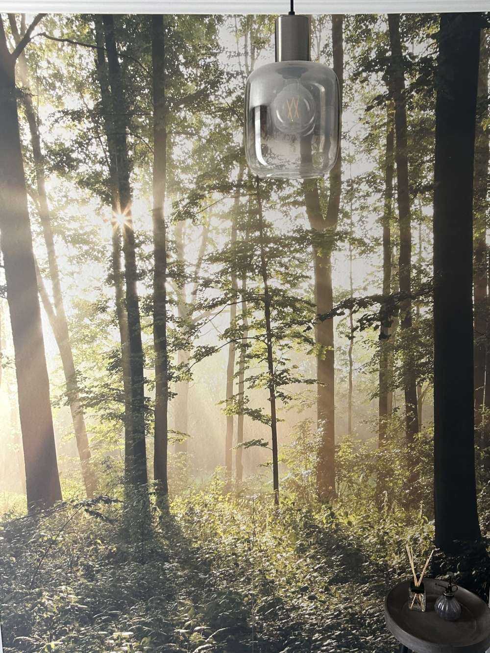 Mglisty las liściasty