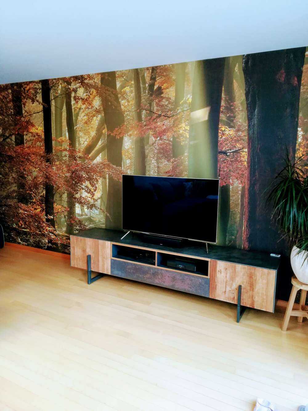 Jesienne kolory w lesie