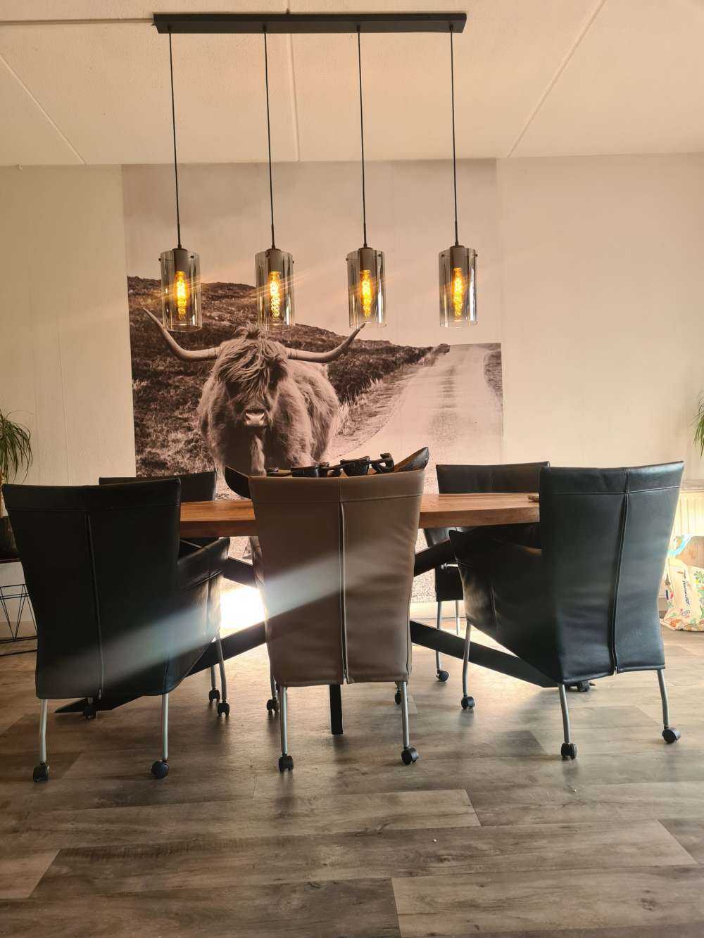 Szkocka rasa wyżynna na drodze