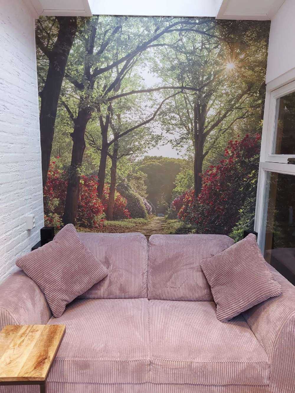 Wschód słońca na ścieżce z rododendronami