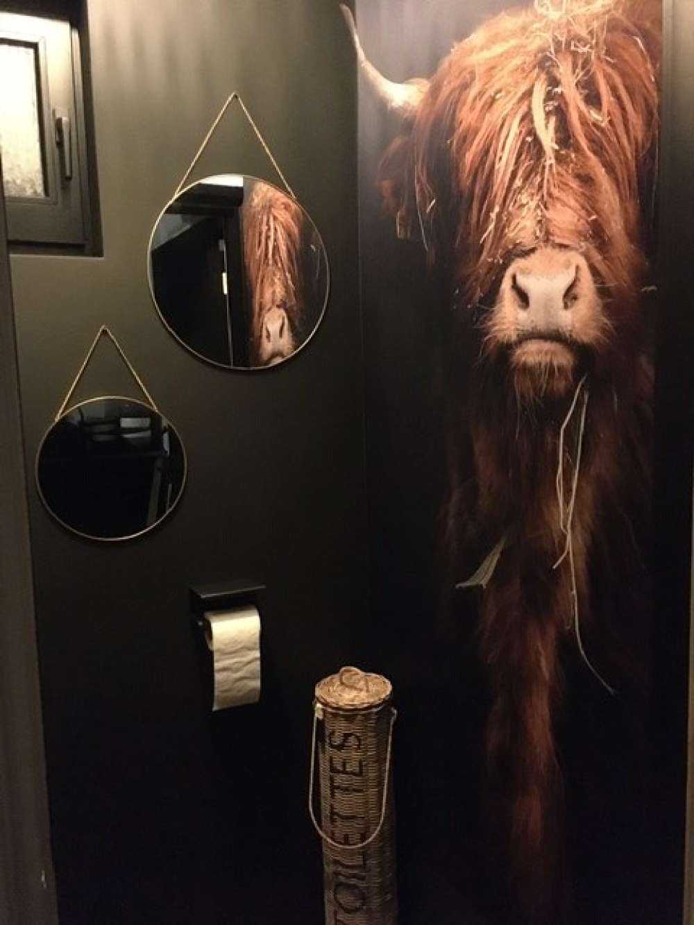 Portret szkockiego wyżynna