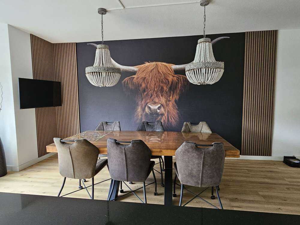 Szkocka rasa wyżynna na ciemnym tle