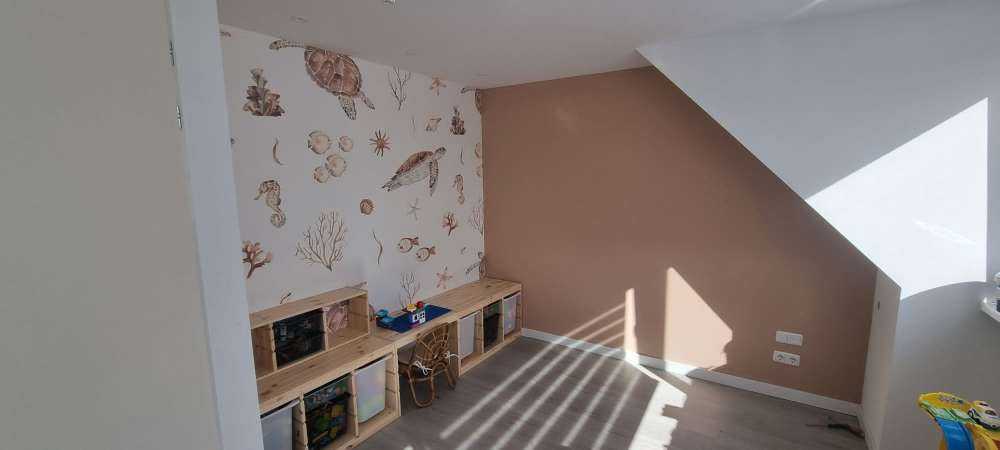 Muszle i morskie stworzenia