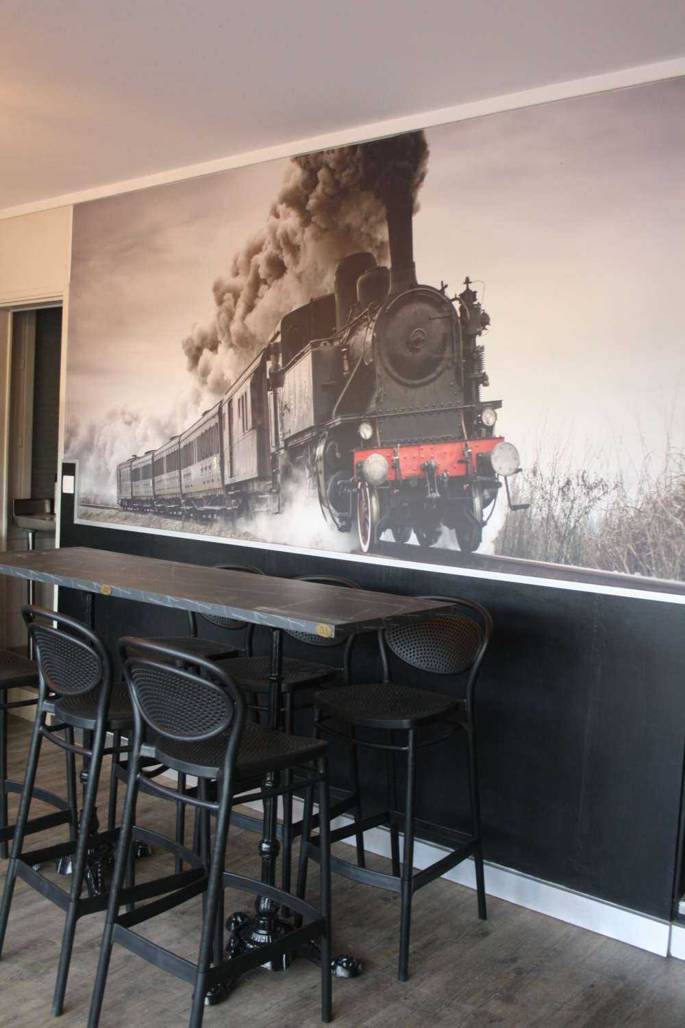 Alpaki między kaktusami