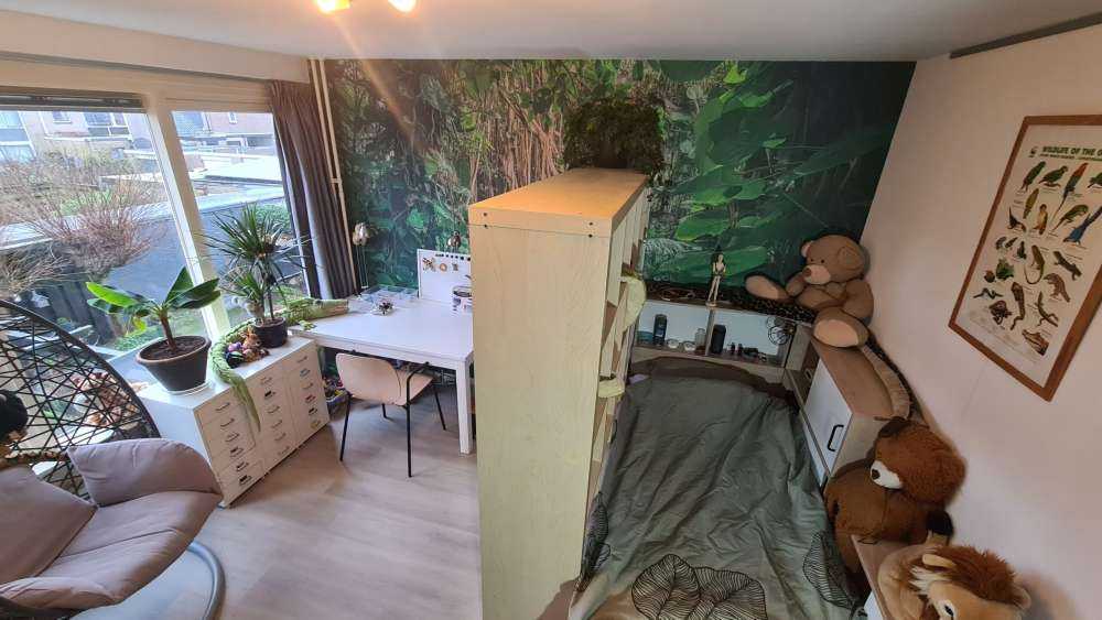 Gałęzie w lesie deszczowym