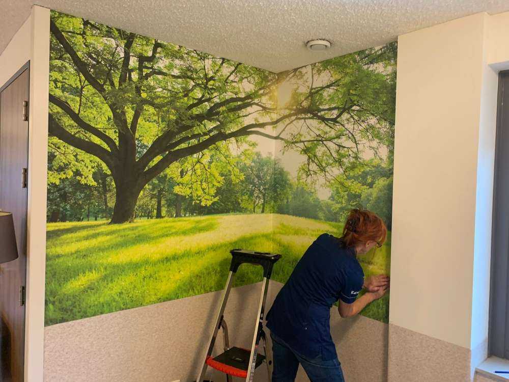 Piękne drzewo z zieloną trawą