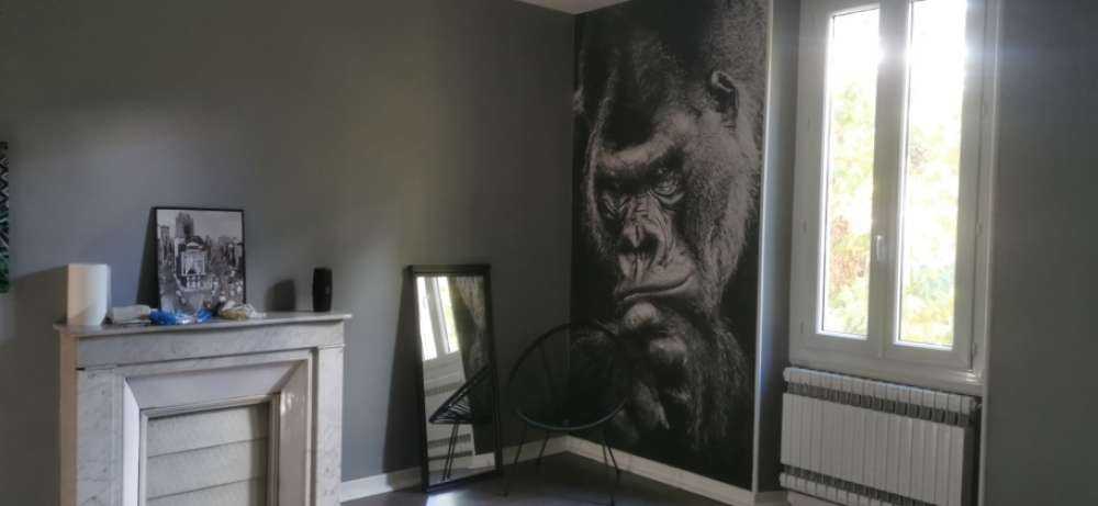 Zbliżone zdjęcie goryla