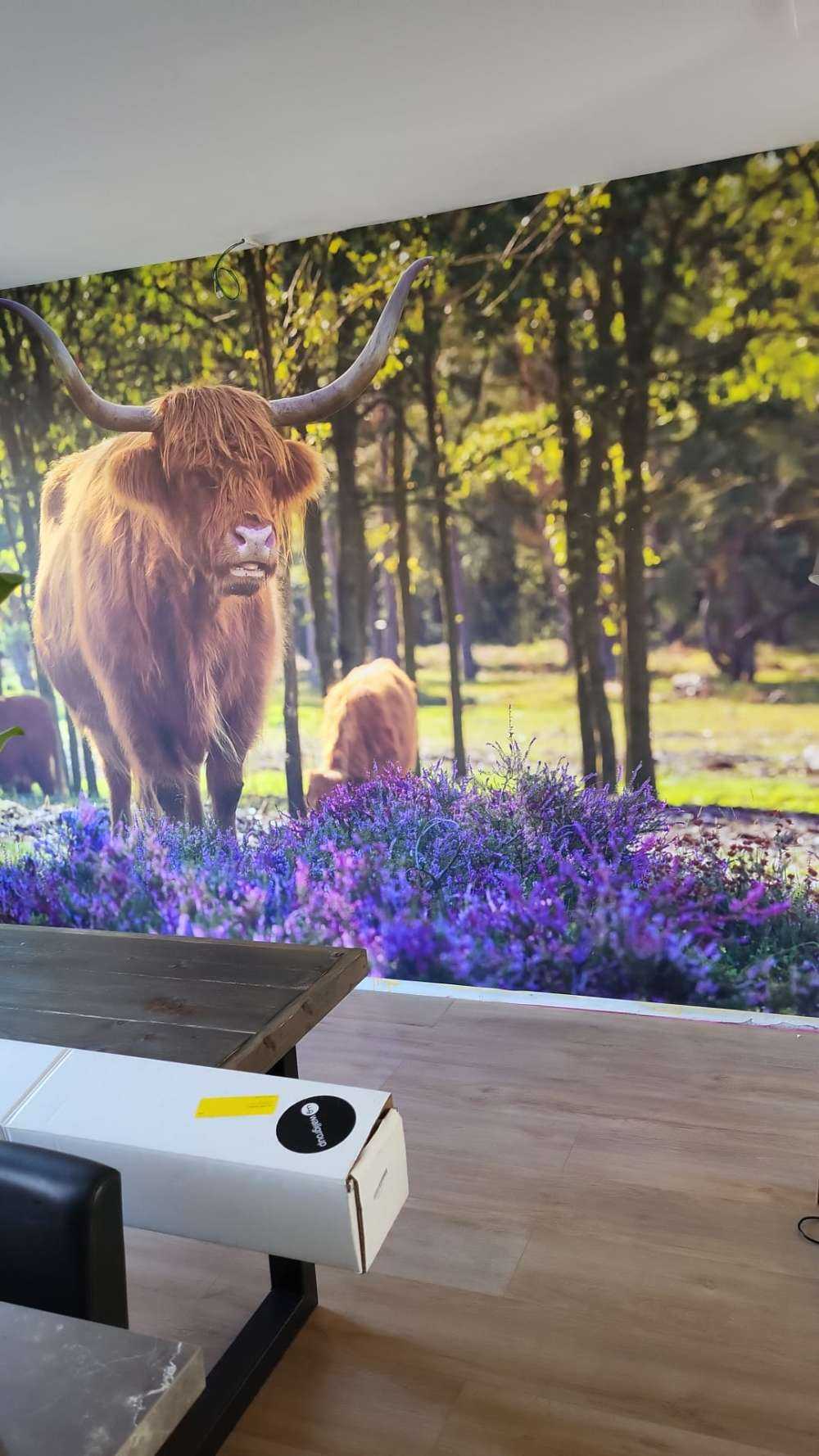 Wyżynny w rezerwacie przyrody