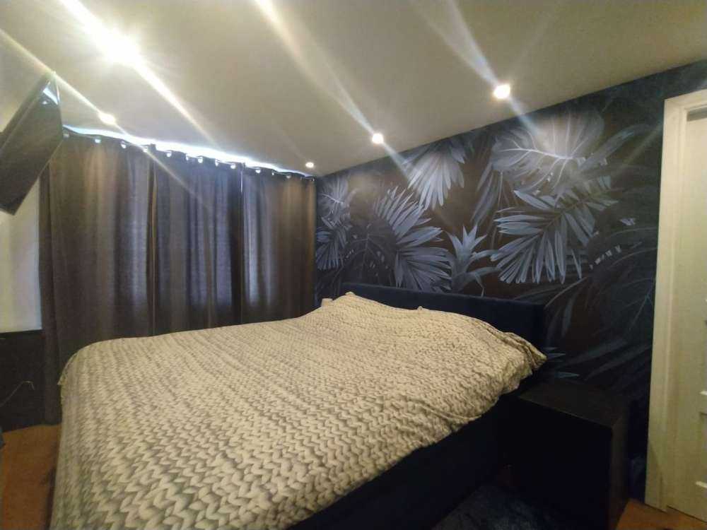 Niebieskie liście tropikalne