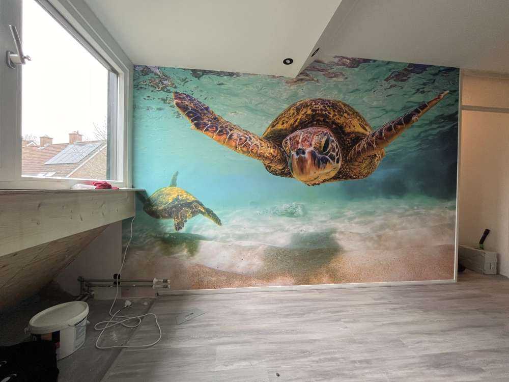 Żółw morski w oceanie