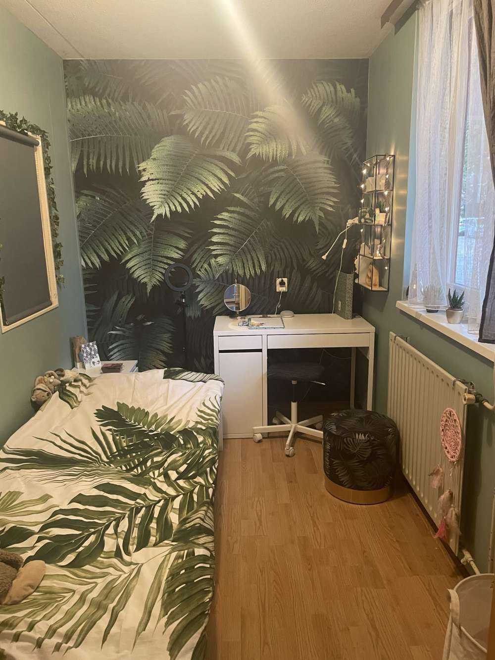 Duże liście palmowe