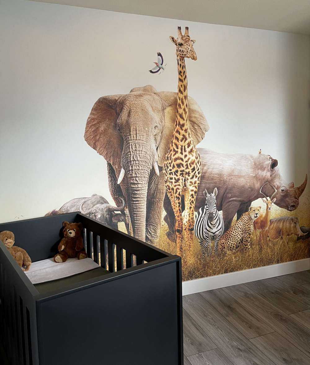 Zwierzę ta na sawannie