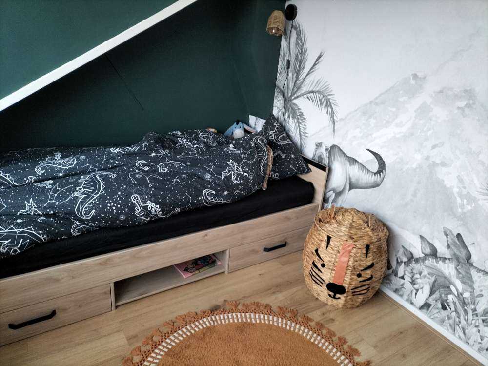 Dinozaury w czerni i bieli