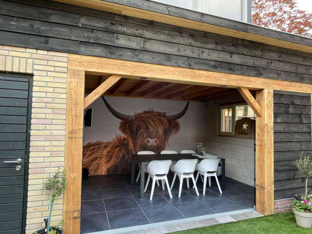 Szkocki wyżyn w roli głównej