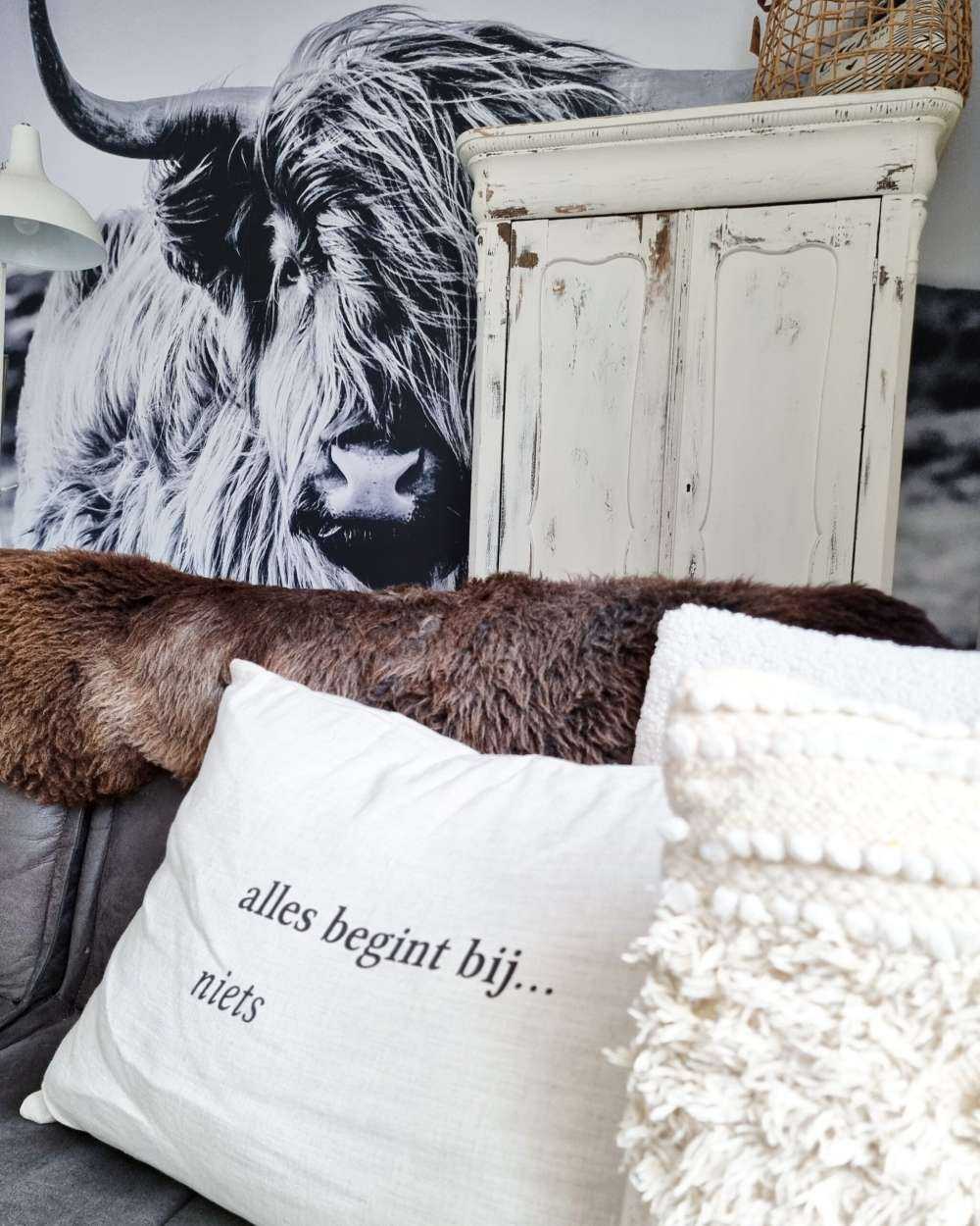 Szkocka rasa wyżynna w czerni i bieli