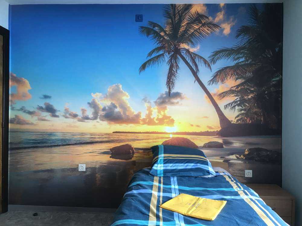 Palmy o zachodzie słońca