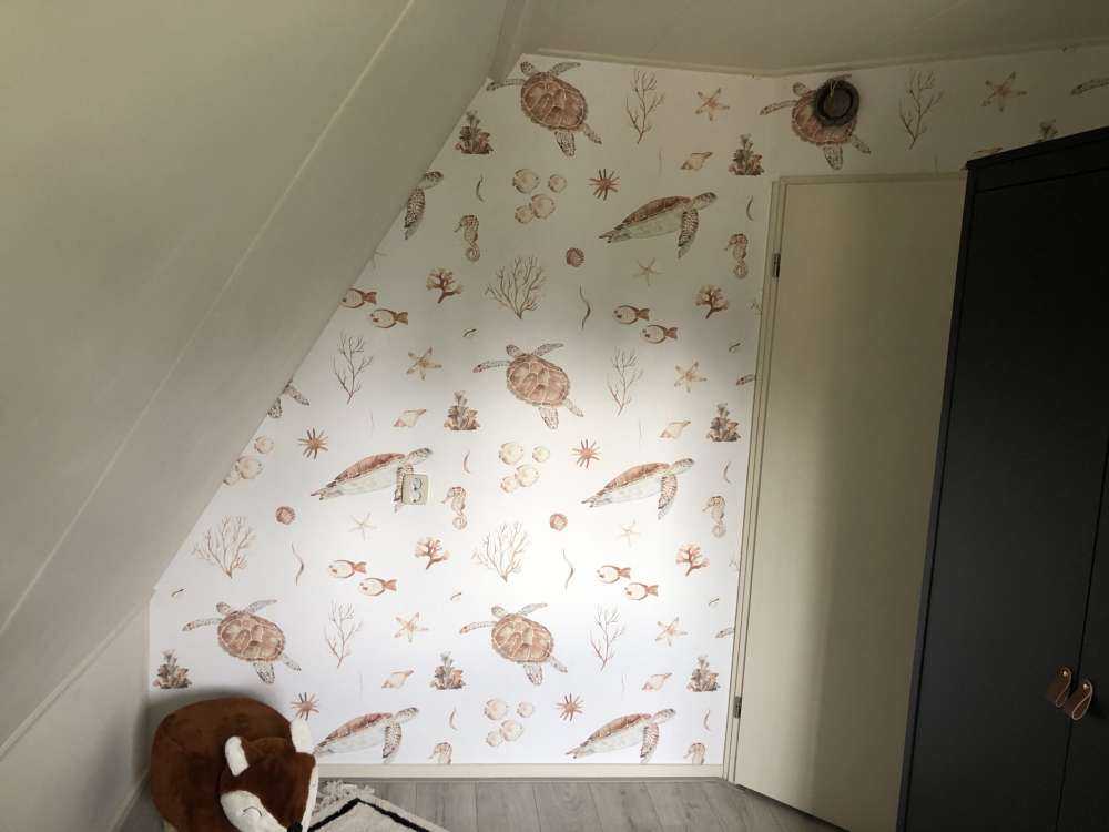 Muszle i morskie stworzenia