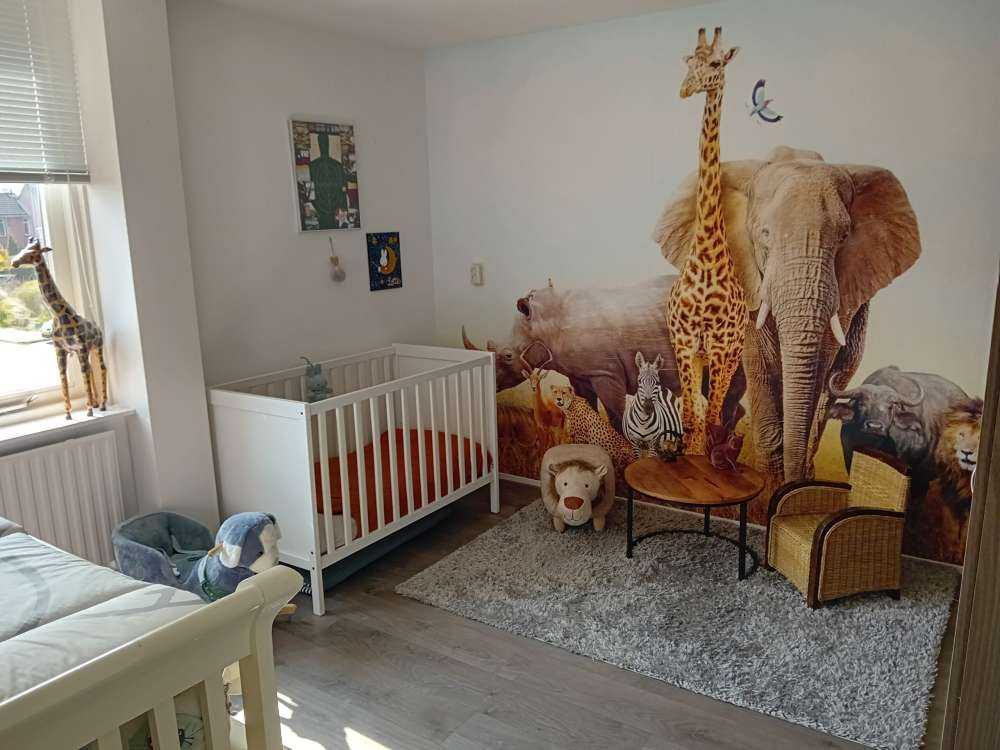 Zwierzę ta na sawannie