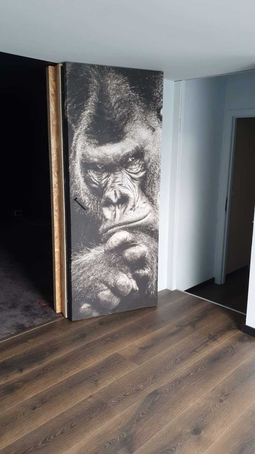 Zbliżone zdjęcie goryla