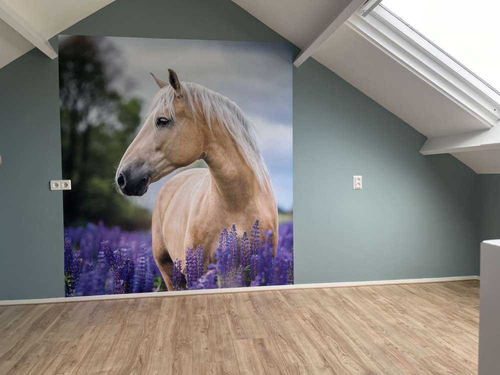 Koń między lawendą