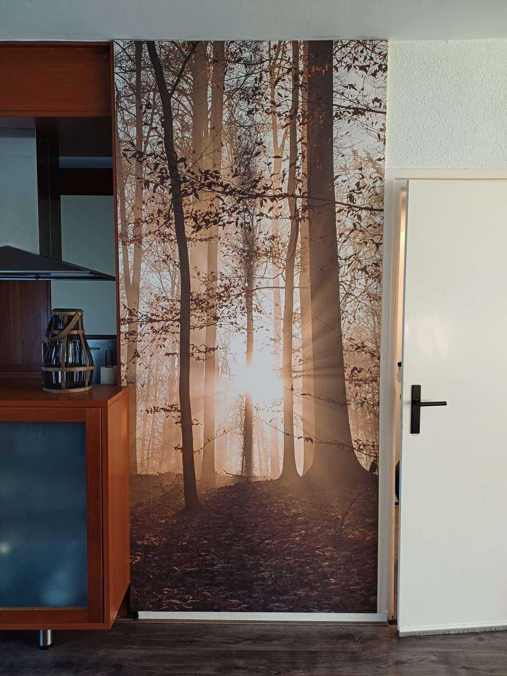 Słońce w mglistym lesie