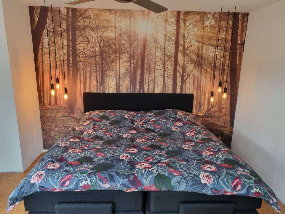 Las z wysokimi drzewami