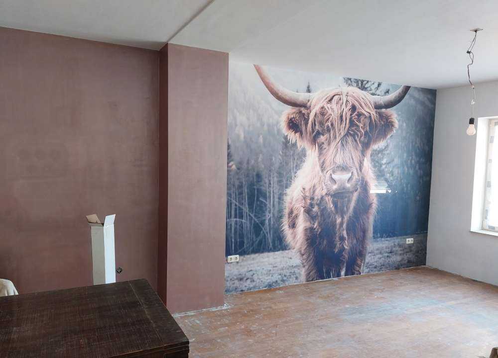 Szkocka rasa wyżynna przy lesie