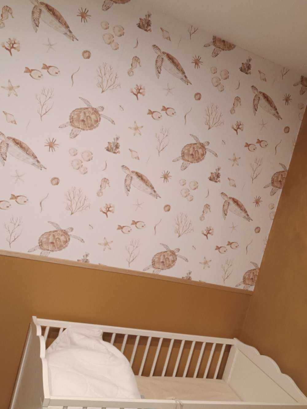 Muszle i morskie stworzenia